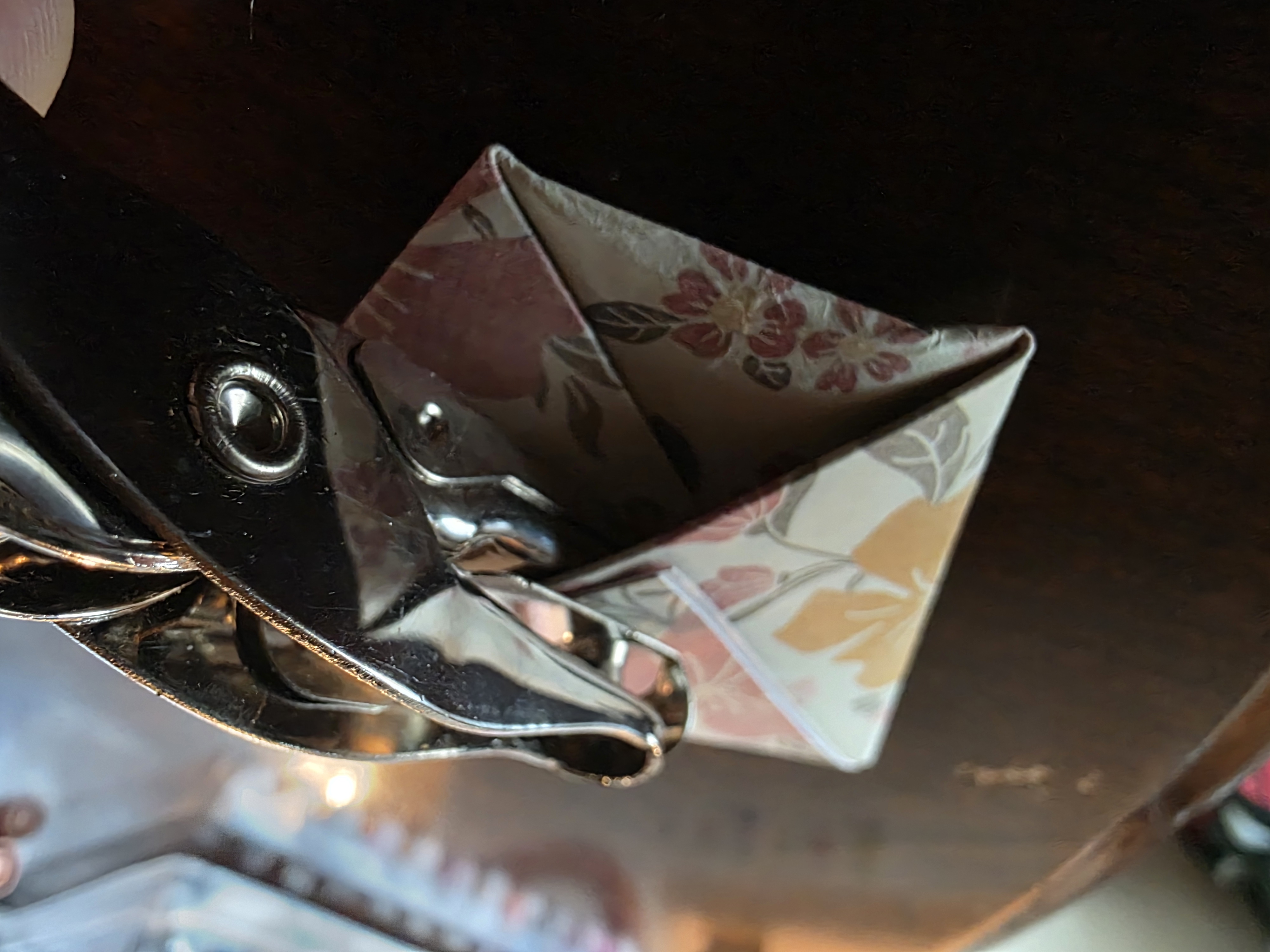 Step 7 of Seed Packet