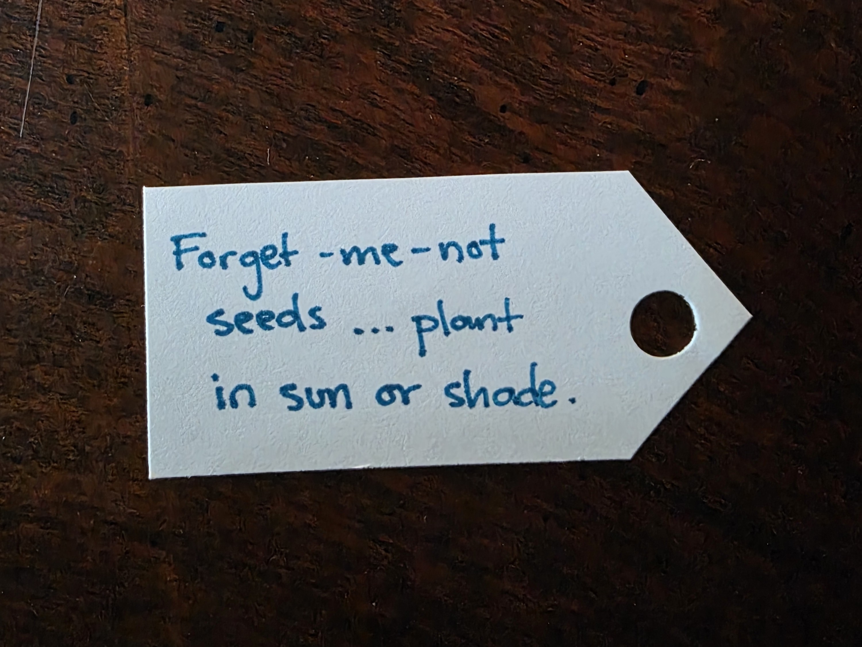 Step 9 of Seed Packet